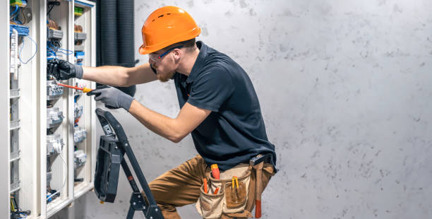 Best Electric Panel Repair  in Leesburg, FL